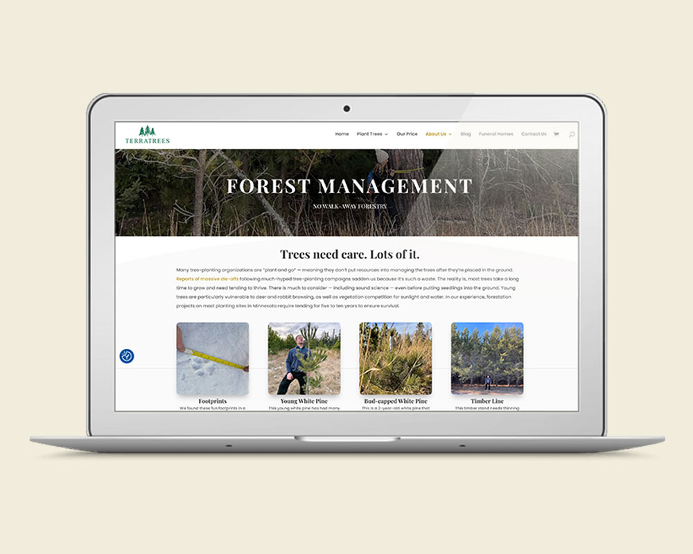 Laptop showcasing the TerraTrees website amidst the serene beauty of a forest, blending nature and digital design seamlessly.